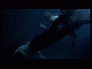 doc0224.gif